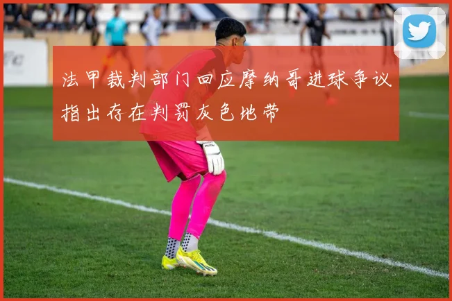 法甲裁判部门回应摩纳哥进球争议指出存在判罚灰色地带