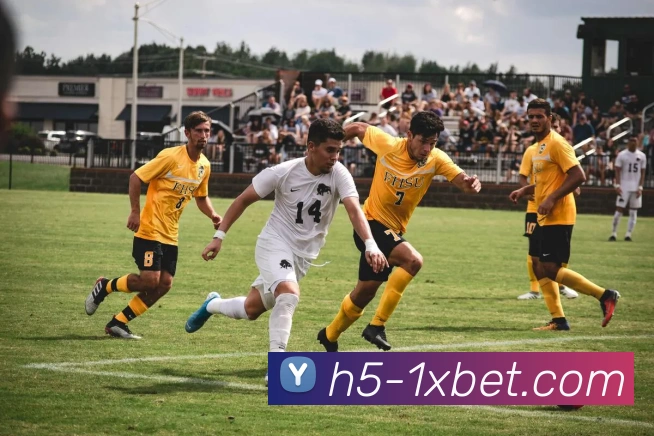 多媒体互动体验